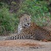 Sri Lanka Wildlife Parks and Nature Reserves